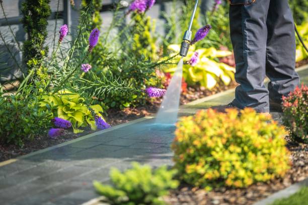 Reliable Galt, CA Pressure Washing Services Solutions
